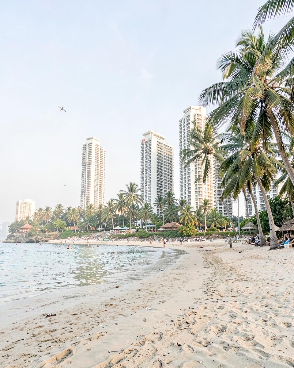 Pattaya beachfront with palm trees and condominium towers